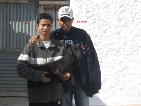 moi et mon cousin